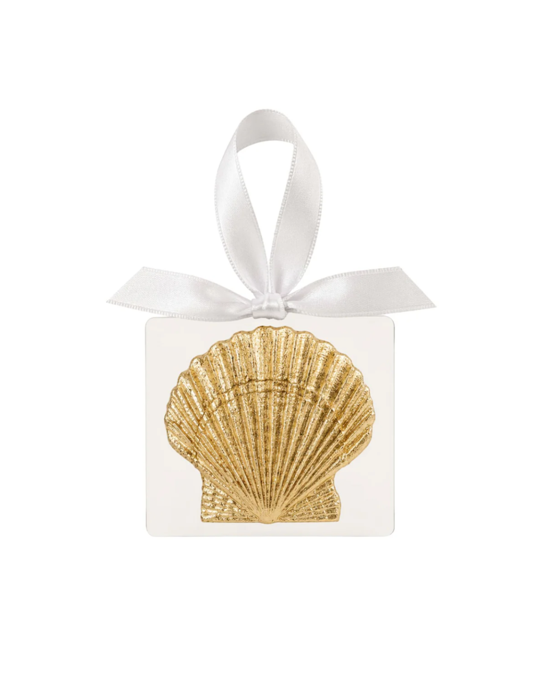 Seashell on Acrylic Ornament