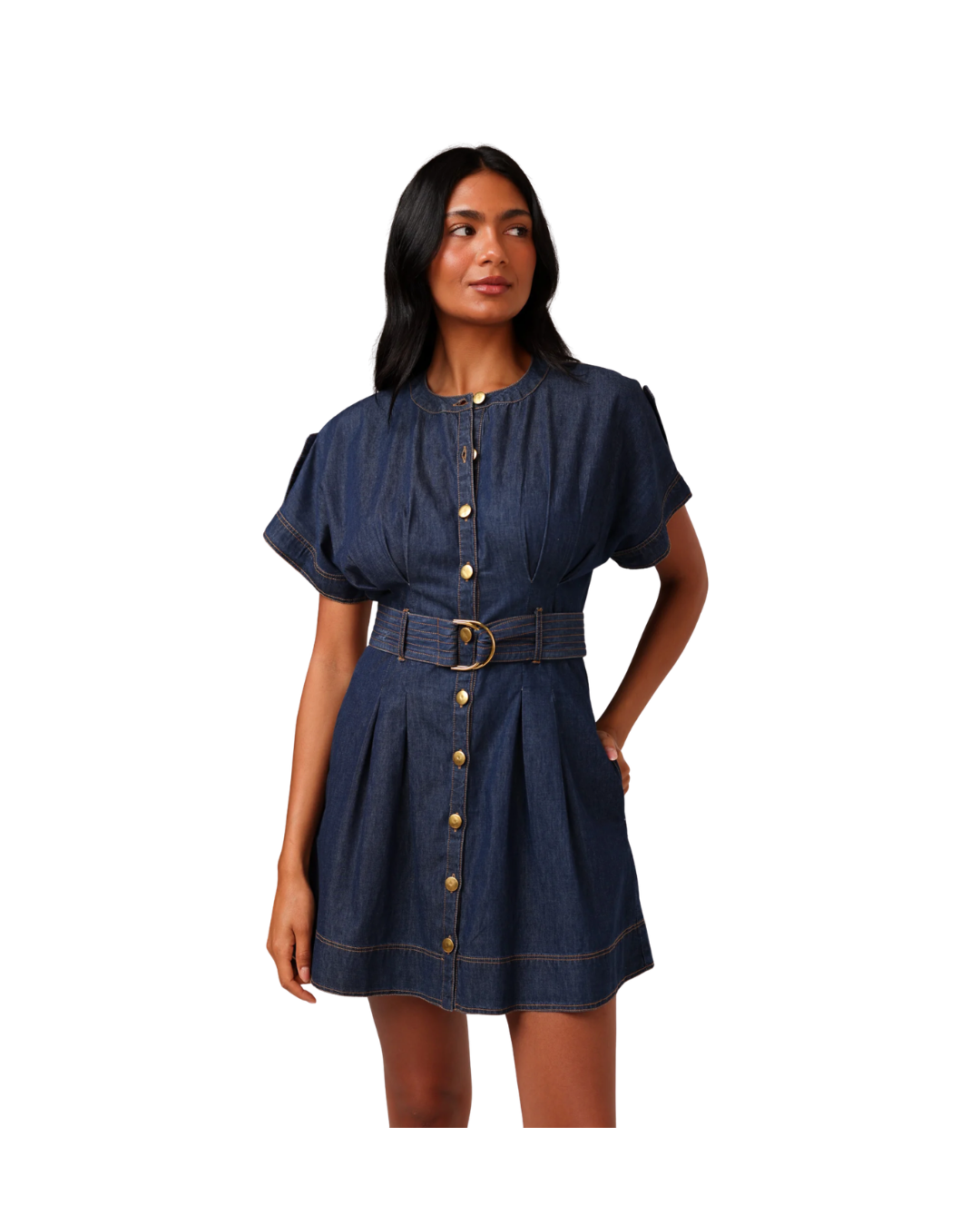 Nicolette Mini Dress in Dark Chambray