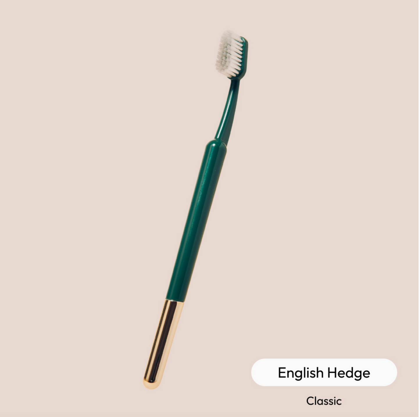 The Better Brush {Classic Collection}