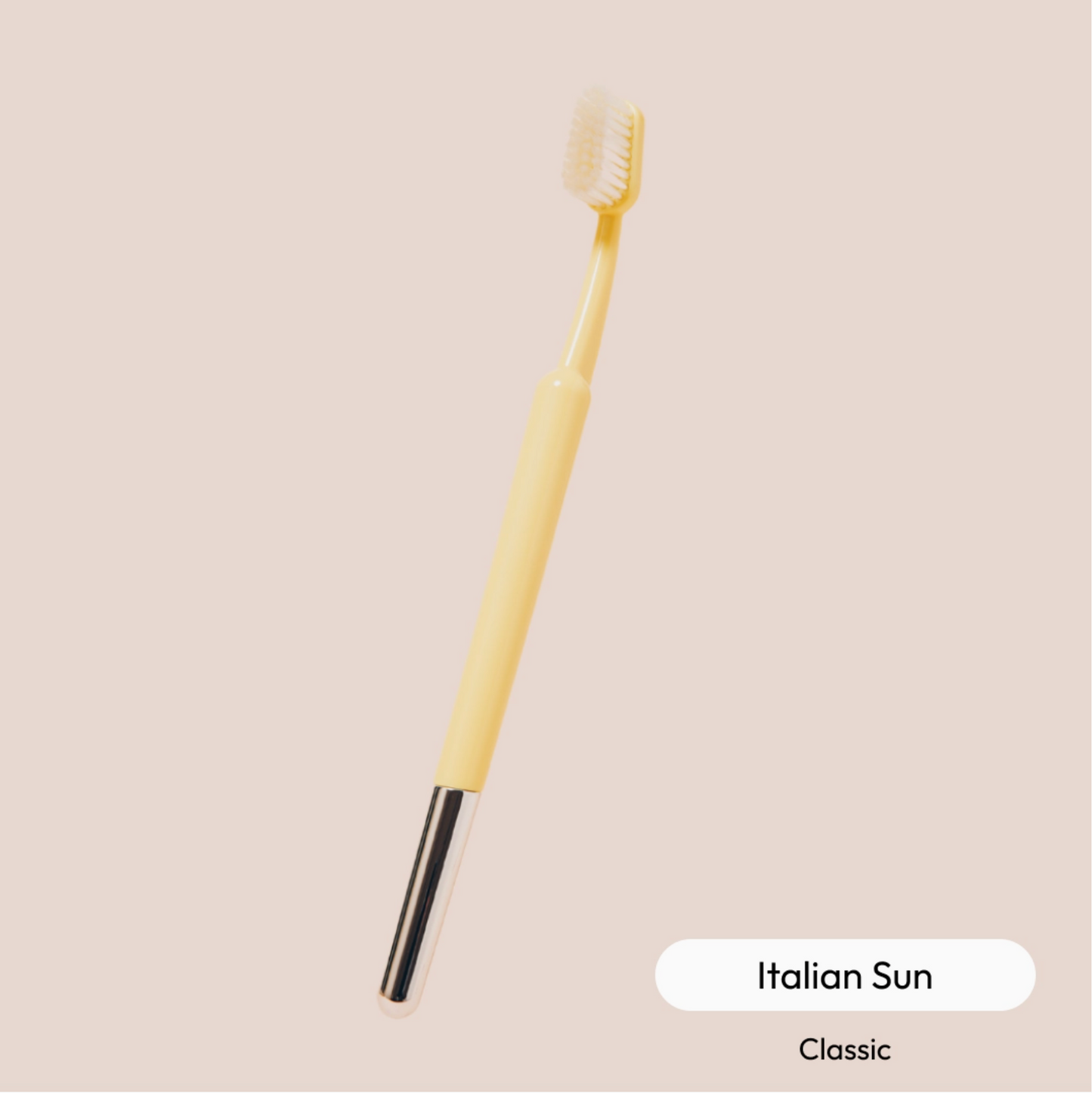 The Better Brush {Classic Collection}