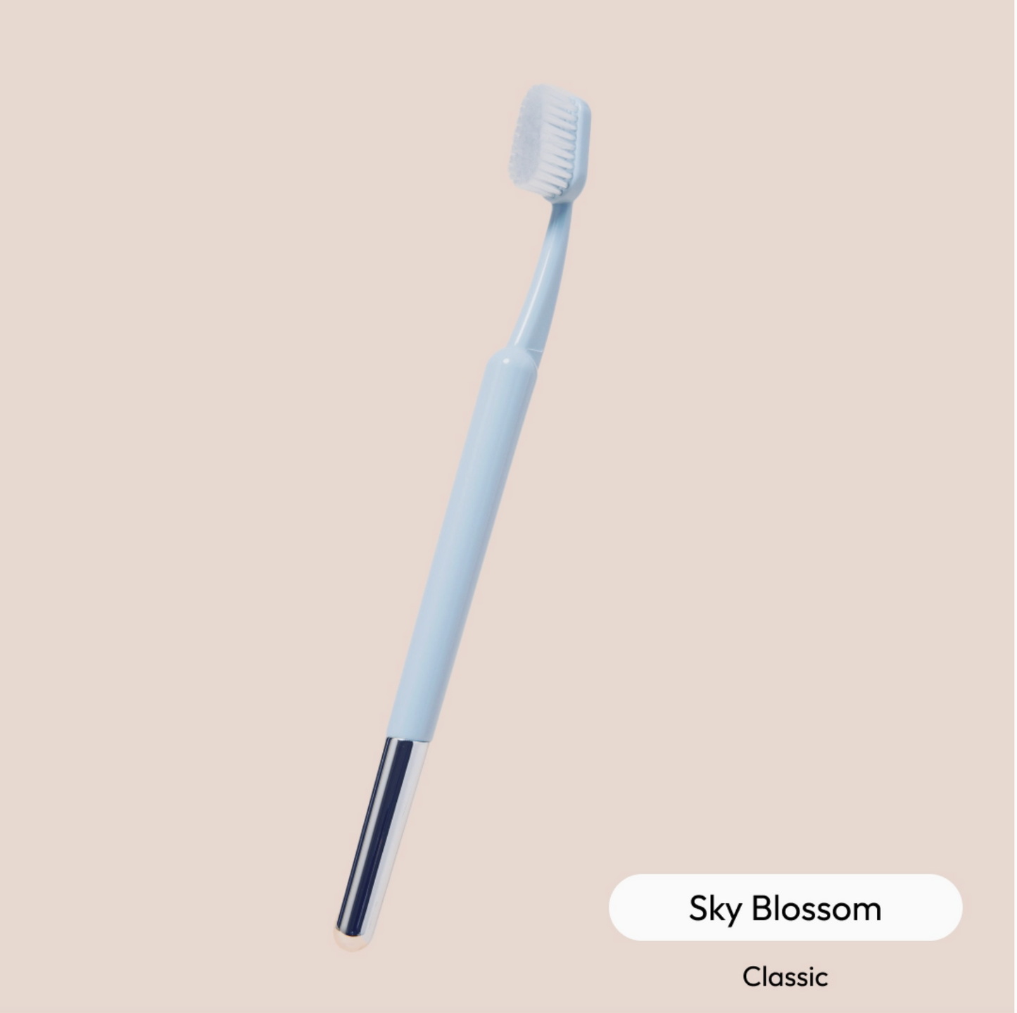 The Better Brush {Classic Collection}