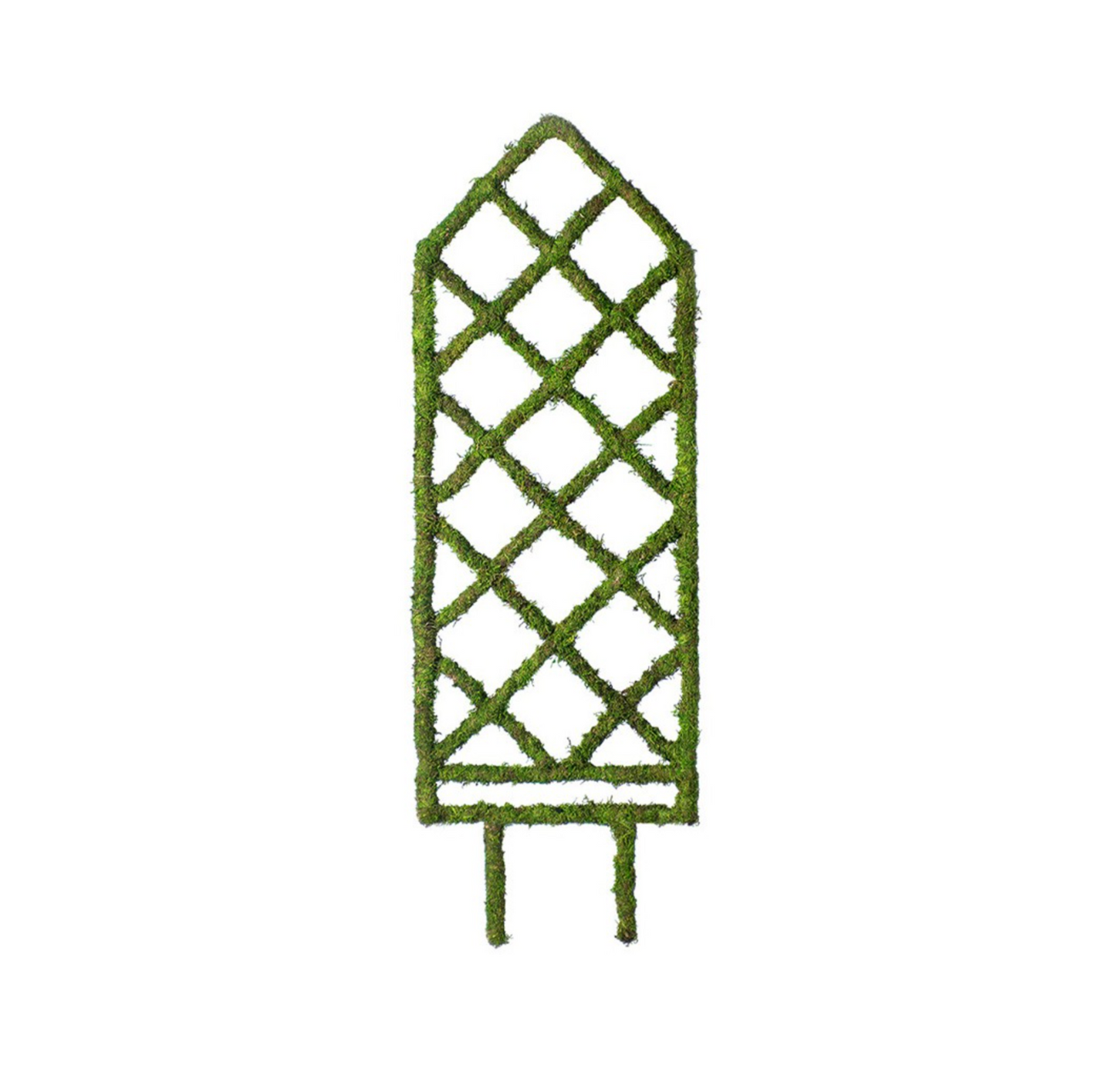 Moss Diamond Trellis