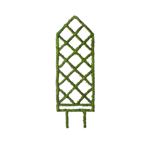 Moss Diamond Trellis