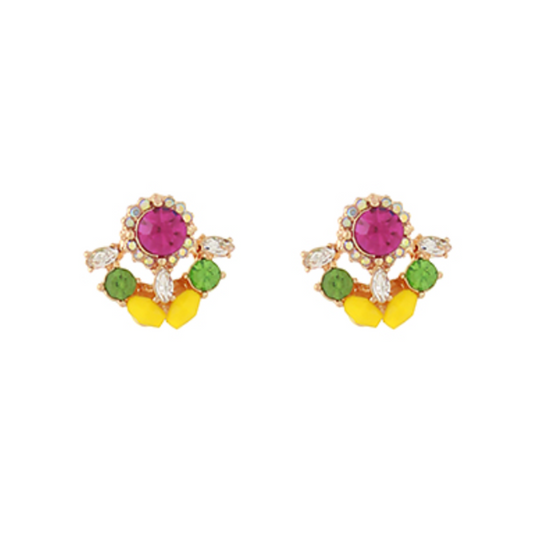 Colorful Crystal Stud Earrings