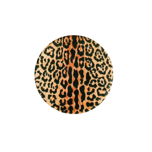 Leopard Print Coasters {Set of 4}