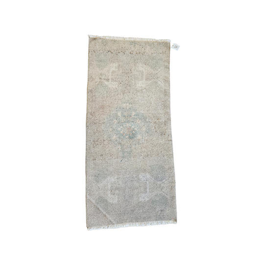 Vintage Rug {Mysterious Mint}