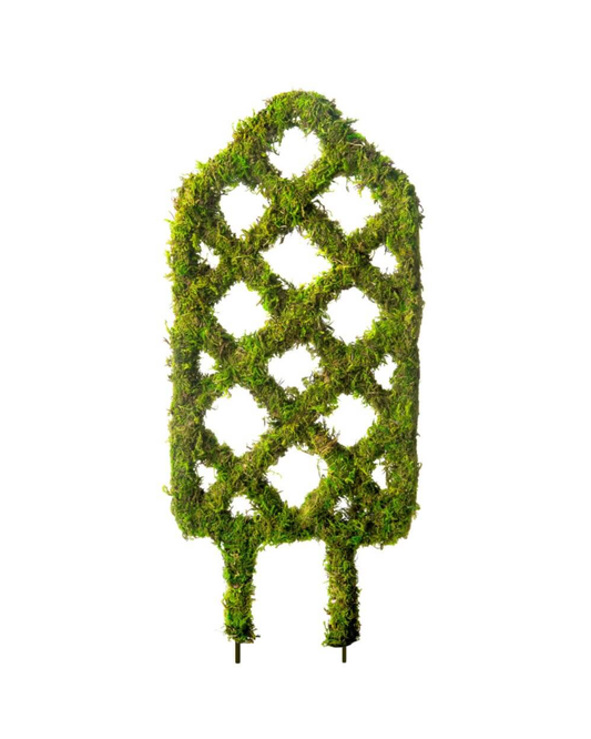 Mini Diamond Moss Trellis
