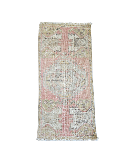Vintage Rug {Dishy Coral}