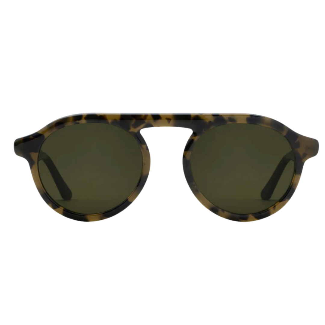 Krewe Cameron {Tortuga Polarized}