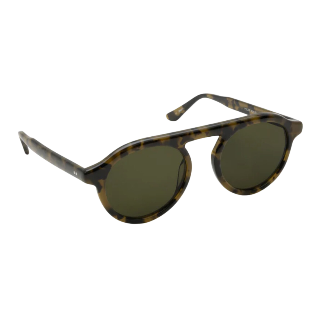 Krewe Cameron {Tortuga Polarized}