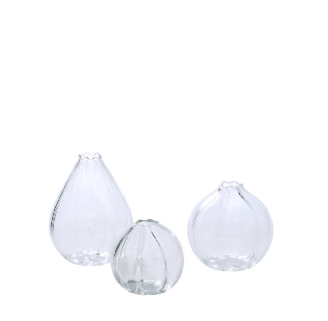 Viola Budvase