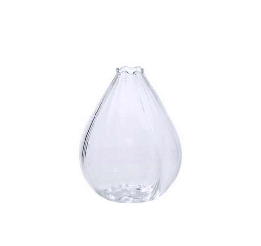 Viola Budvase