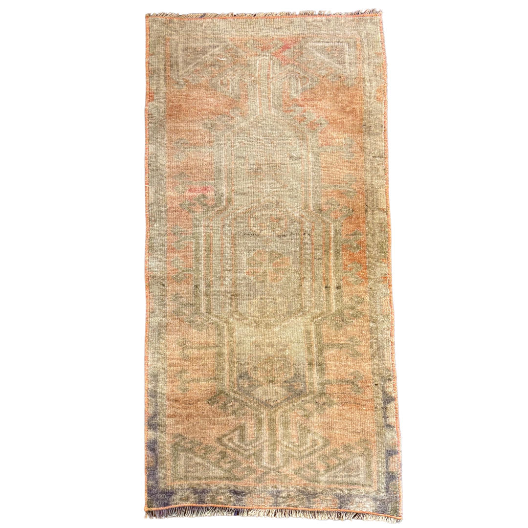 Vintage Rug {Peachy Olive}