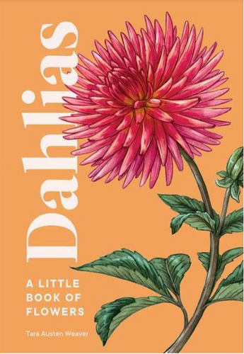 Dahlias: Little Book of Flowers