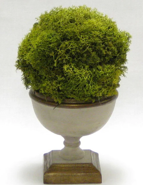 Moss Topiary in Wooden footed bowl {Gray/Brown}