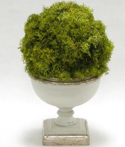Moss Topiary in Wooden footed bowl